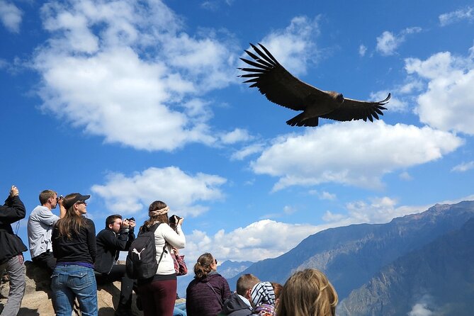 Colca Canyon 2 days from Arequipa with final transfer to Puno - Chivay overnight: useful base, limited free time