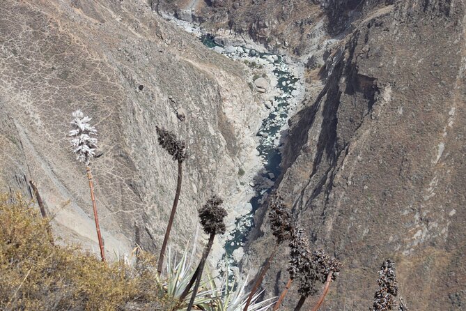 Colca Canyon Arequipa 2D / 1N - Chivay at 3,600 meters