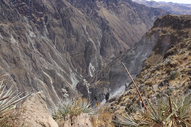 Colca Canyon Arequipa 2D / 1N - La Calera thermal baths