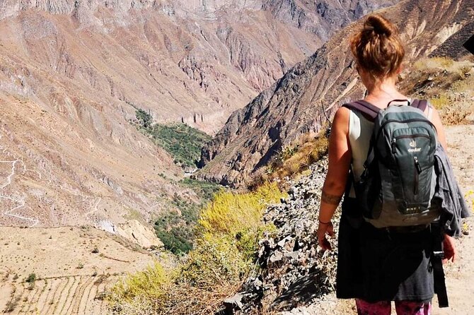 Colca Canyon Full Day Tour from Arequipa - Five details that shape the day
