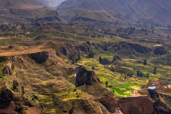 Colca Canyon Full Day Tour from Arequipa - Breakfast and a first look at Chivay