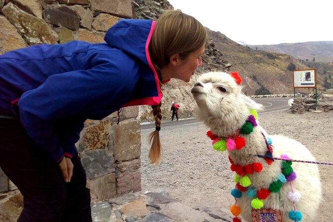 Colca Canyon Plus - Why two days work better than one