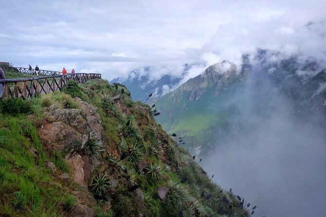 Colca Canyon Plus - Cruz del Cóndor before the crowds and heat
