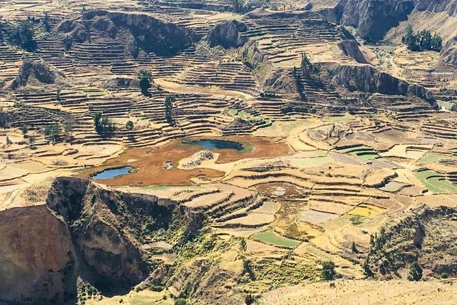 Colca Canyon Sightseeing Tour 2-Day 1-Night - Arriving in Chivay for lunch and the overnight stay