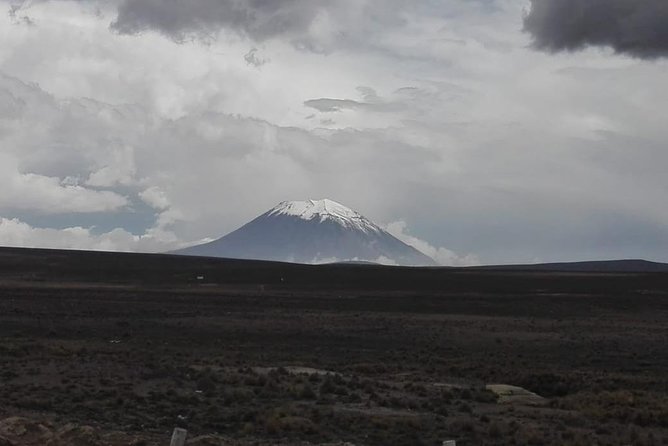 Colca Canyon Sightseeing Tour 2D1N and Transfer to Puno - The Chivay to Puno transfer