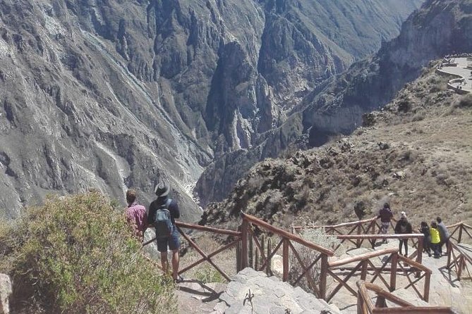 Colca Canyon Sightseeing Tour 2D1N and Transfer to Puno - Day one: from Arequipa to the high reserve