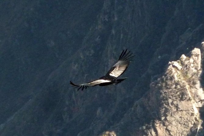 Colca Canyon Tour 2 Days - Abra Patapampa at 4,800 meters