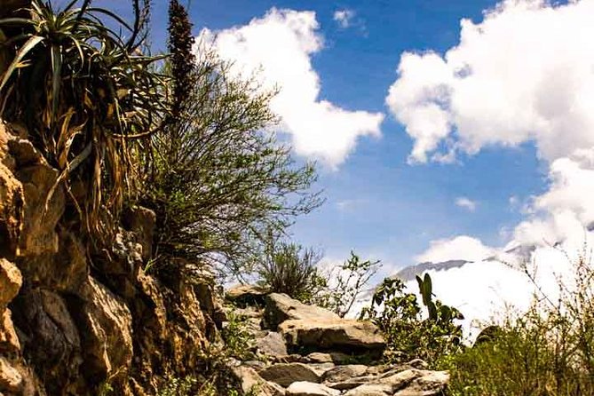 Colca Canyon Trek 3 Day 2 Night - Food, water, and what the $125 covers