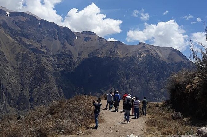 Colca Full Day - Booking details and cancellation flexibility