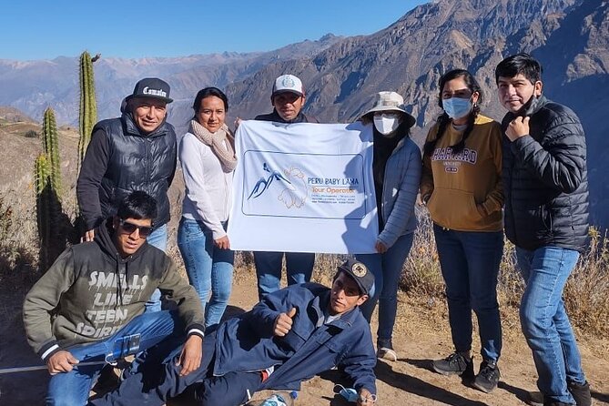 Colca Full Day Tour - Alpacas and vicuñas in Salinas y Aguada Blanca