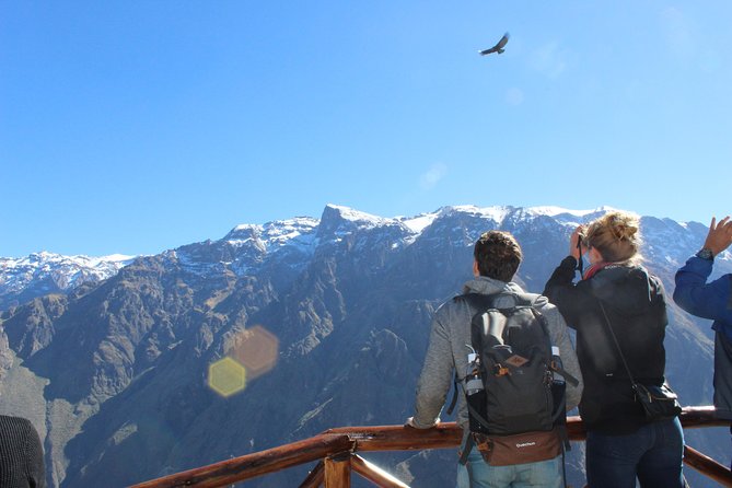 Colca Full Day Tour - Abra Patapampa at 4,900 meters