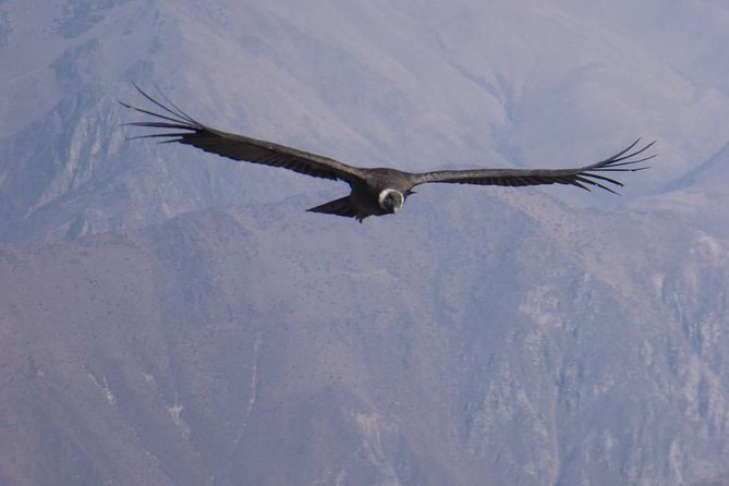 Colca Trek - 2 Days Tour - Why This Two-Day Route Works