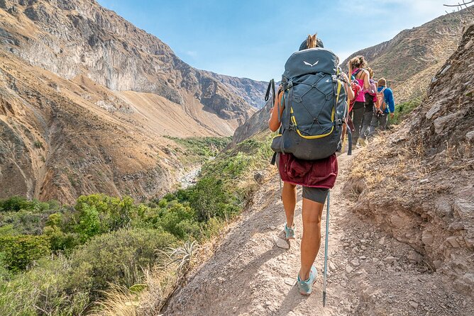 Colca Trekking 2days from Arequipa - Five things to know before you book