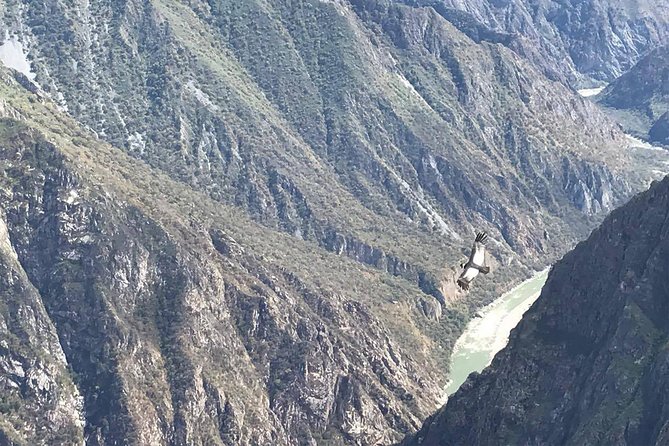 Condor Tour from Cusco - 1 Day - Why this Cusco day trip is different