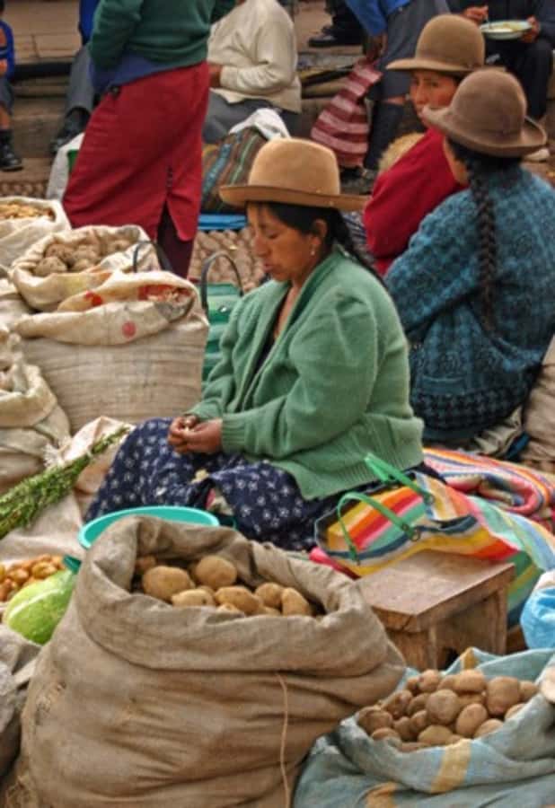 Cusco: 3-Hour Peruvian Cooking Class - Meeting at ChocoMuseo near Plaza Regocijo