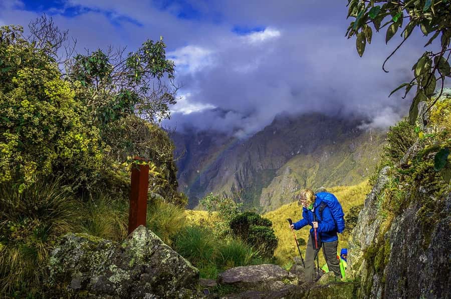 Cusco: 4-Day Inca Trail to Machu Picchu with Accommodation - Day two: coffee, Qhapaq Ñan, and Cocalmayo