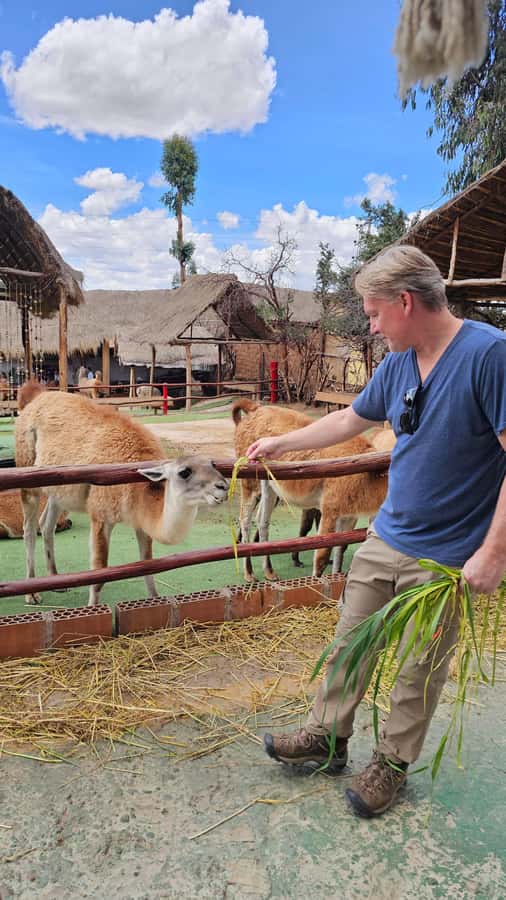 Cusco: Alpaca and Llama Farm Tour w/ Transfer & Weaving Demo - Key points to know before you go