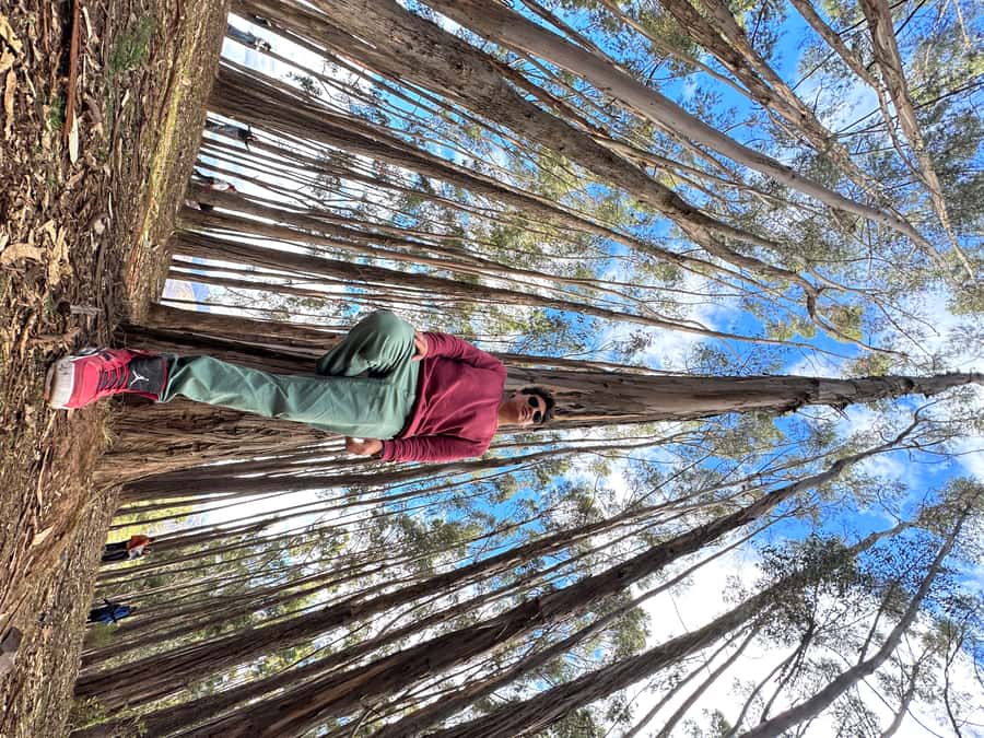 Cusco: Archeological Sites Tour and Forest Photo Experience - Tambomachay, water and purification