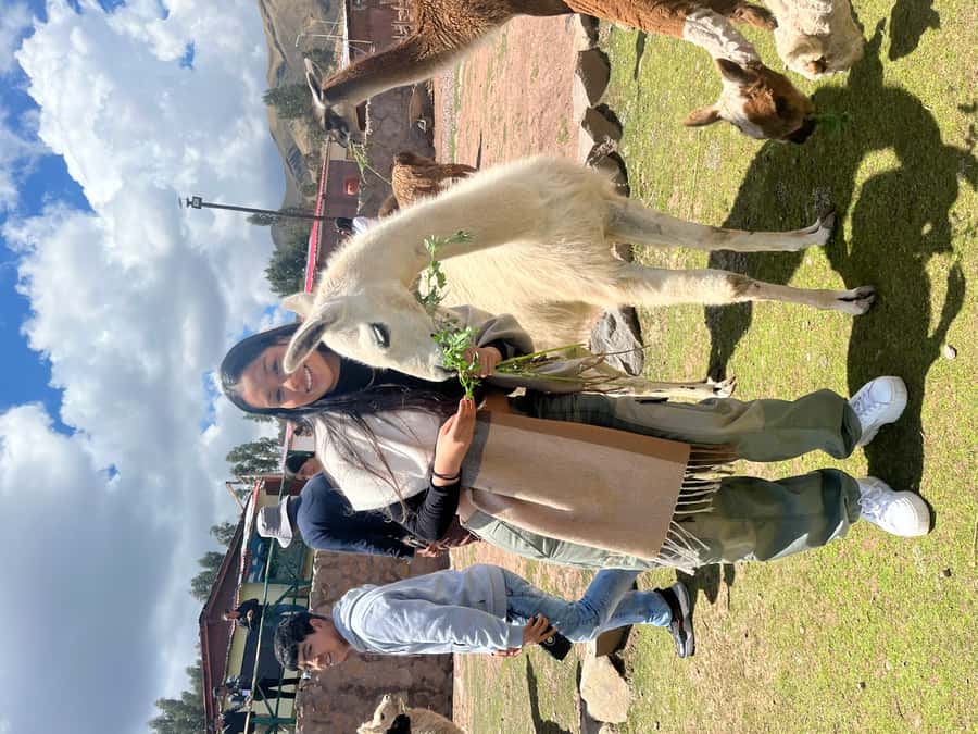 Cusco: Archeological Sites Tour and Forest Photo Experience - Pickup, weather, and what to bring
