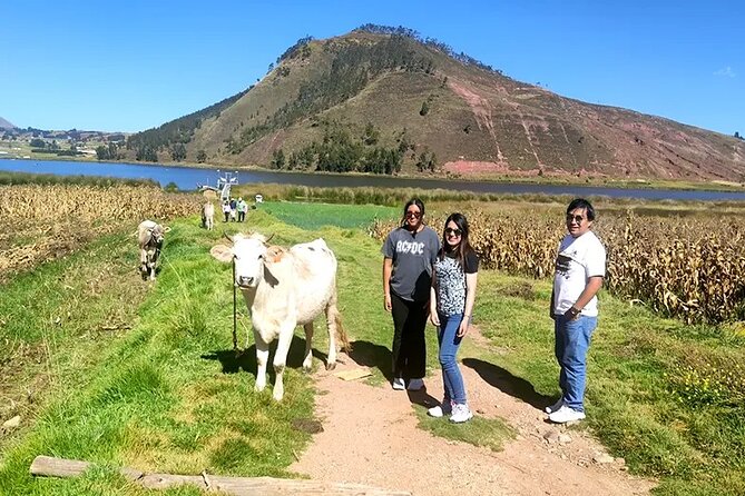 Cusco ATV (Cuatrimotos) Full Day Tour - Moray’s circular terraces and Inca farming experiments