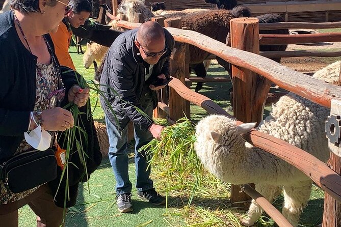 Cusco city tour - Tambomachay and the sound of Inca water