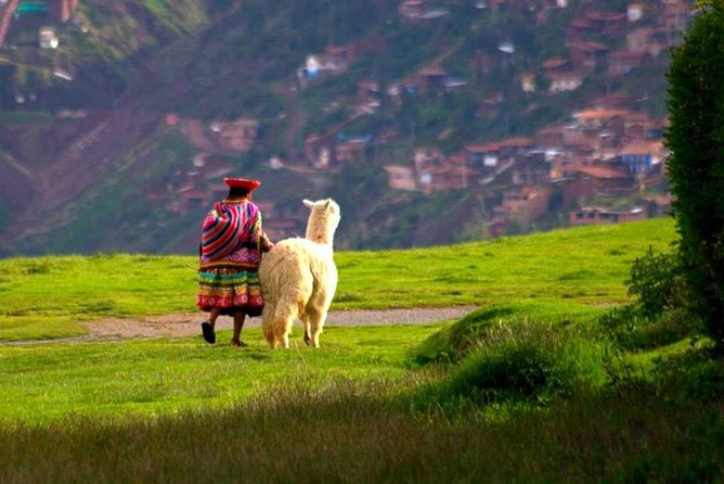 Cusco City Tour - Group Service - Key points at a glance