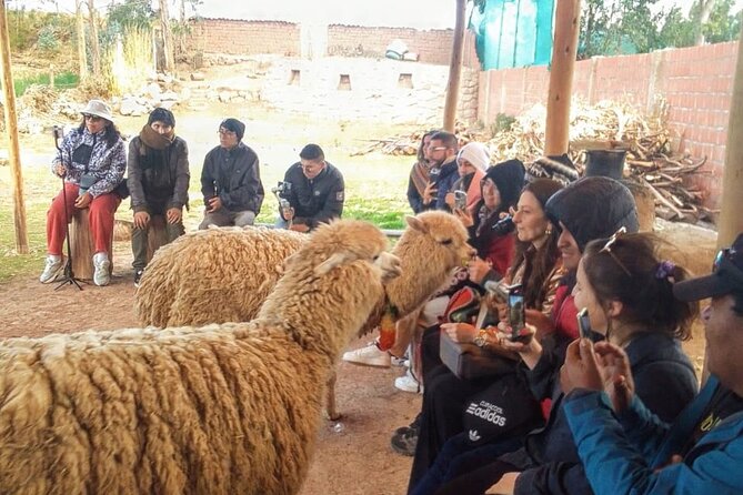 Cusco: City Tour Half Day Tour with Sacsayhuaman and Q’enqo - The real cost of a $15 tour