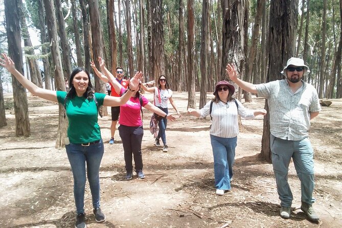 Cusco: City Tour Half Day Tour with Sacsayhuaman and Q’enqo - Coricancha, where Inca and Spanish Cusco meet