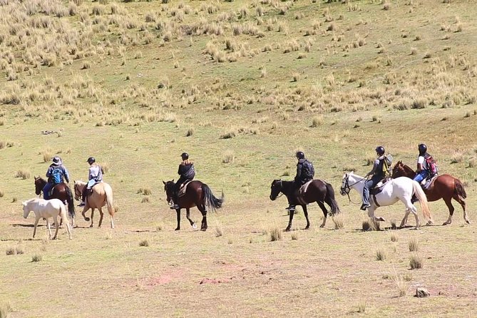 Cusco Day Tour Horse Riding Mystic Tour Full Service The Most Recommended - A short ride with a strong sense of place