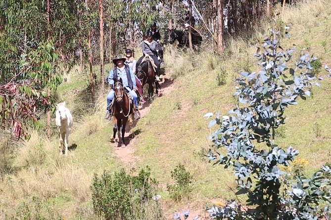 Cusco Day Tour Horse Riding Mystic Tour Full Service The Most Recommended - Why the personal guiding matters