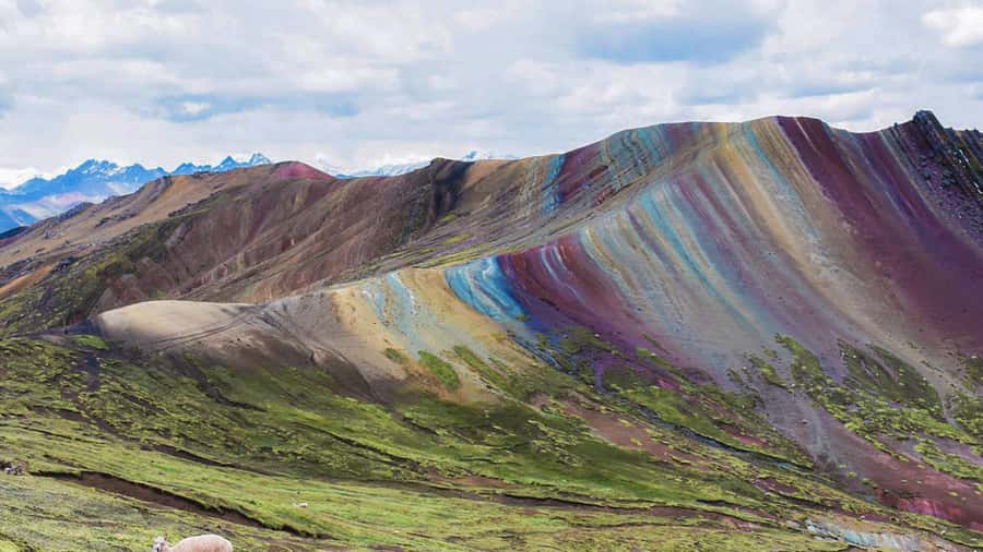 Cusco : Full day Palcoyo Mountain of colors - Breakfast in Cusipata gives you a useful reset
