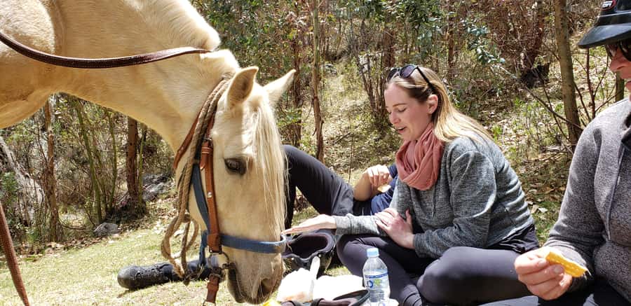 Cusco: Half-Day Horseback Riding at Devil's Balcony - Leaving Cusco for the Vieja Estancia Ranch