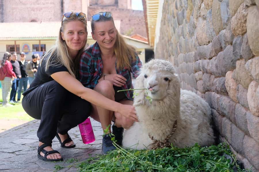 Cusco Highlights Walking Tour: History, Culture, Traditions - Why this two-hour walk works well in Cusco