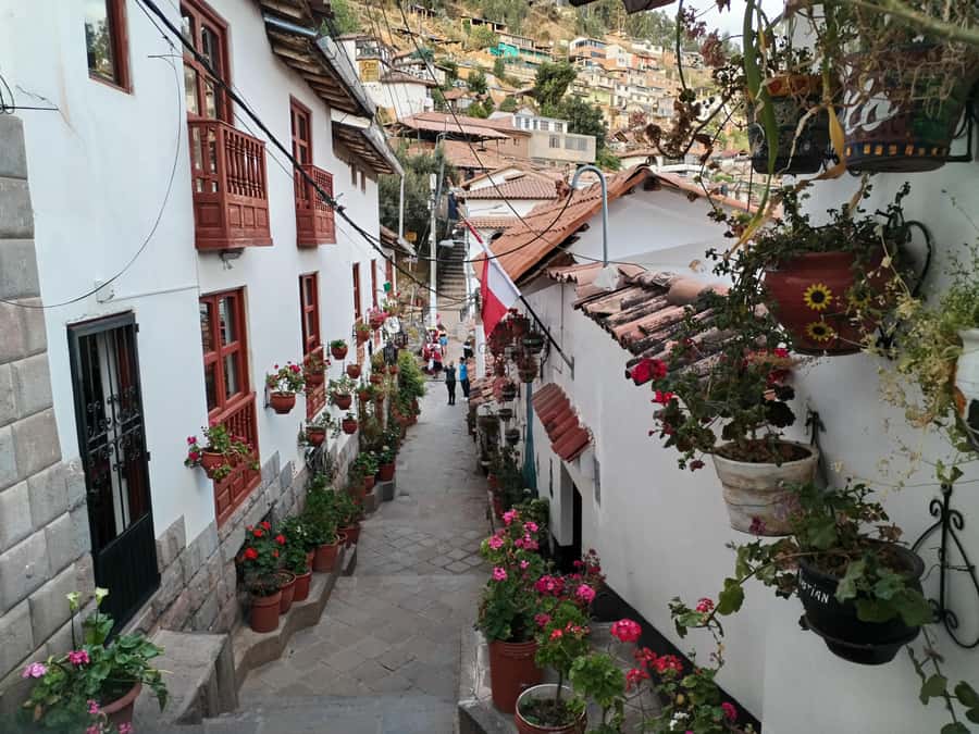 Cusco: Historic Walking Tour & Scenic Views with local drink - Hatunrumiyoc and the famous stonework