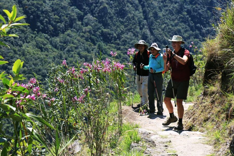 Cusco: Machu Picchu 2-Day Inca Trail with Panoramic Train - Breakfast and lunch prepared on the trail