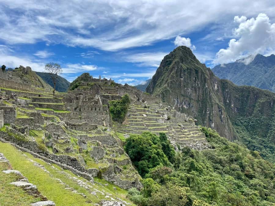 Cusco: Machu Picchu Day Trip with Train + Entrance ticket - What the $333 price really covers