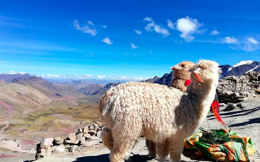 Cusco: Mountain of 7 colors Vinicunca and the Red Valley (optional) - Reaching the 5,010-meter viewpoint