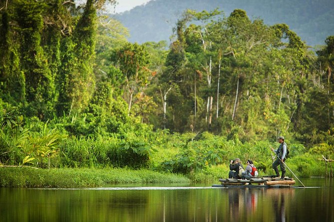 Cusco Package Tour (8 Days) - Days four through seven: Manu from cloud forest to jungle river