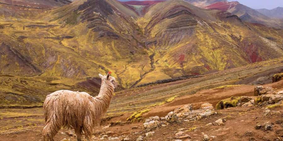 Cusco : Palcoyo - Rainbow Mountain Hidden Sister - Key things to know before booking