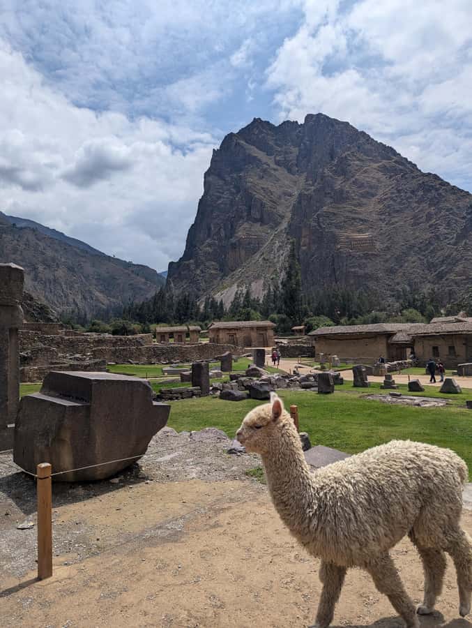 Cusco: Pisaq & Ollantaytambo end in Ollantaytambo with Lunch - Pisac market: useful shopping time, but not much of it