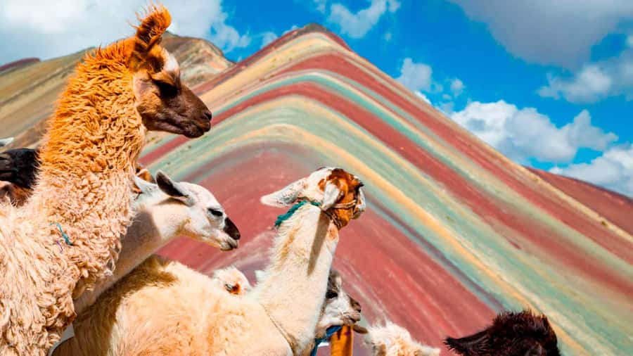 Cusco: Rainbow Mountain and Red Valley Guided Day with Meals - A 4:00 a.m. pickup in Cusco’s historic center