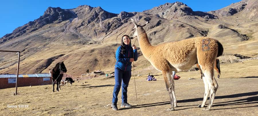 Cusco: Rainbow Mountain & Red Valley Tour with Picnic meals - What the $198 price really covers