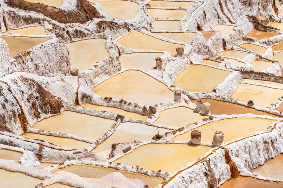Cusco: Sacred Valley, Pisac, Ollantaytambo, Salt Mines Moray - Pisac closes the day with ruins and market culture