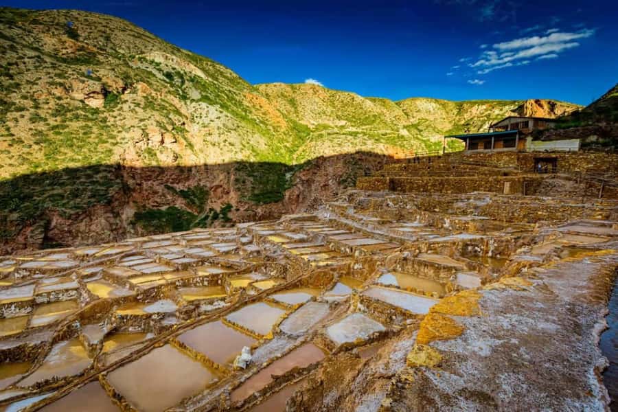 Cusco: Sacred Valley VIP, Pisac, Ollantaytambo - Maras: salt ponds with an extra fee