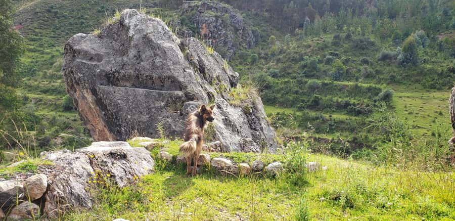 Cusco: Sacsayhuaman Guided Tour and 1-Hour Horseback Ride - A one-hour ride through Sacsayhuaman National Park