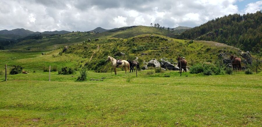 Cusco: Sacsayhuaman Guided Tour and 1-Hour Horseback Ride - Tambomachay and Puka Pukara after the ride