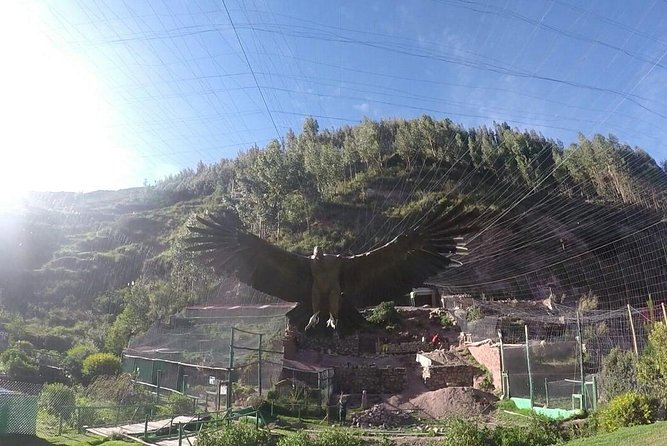 Cusco Santuario de Animales Rescatados en Cusco - Key points about the Cochahuasi visit
