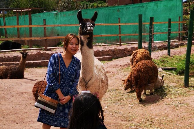 Cusco Santuario de Animales Rescatados en Cusco - What the $34 price really covers