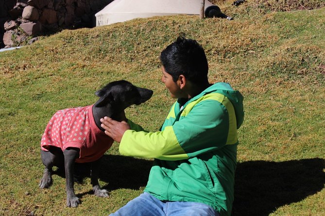 Cusco Santuario de Animales Rescatados en Cusco - Who will enjoy this most