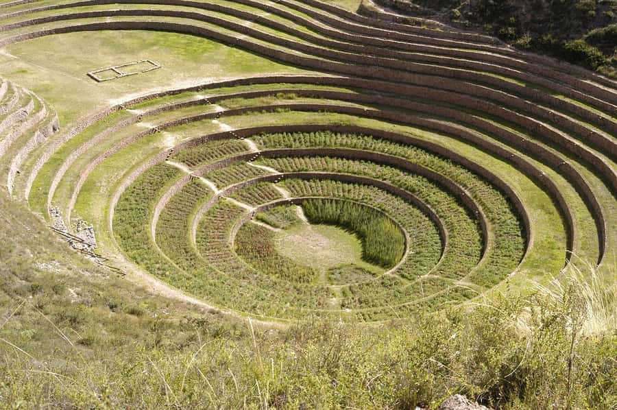 Cusco: Valle Sagrado VIP, Maras, Moray y Almuerzo Buffet - Buffet lunch in Urubamba